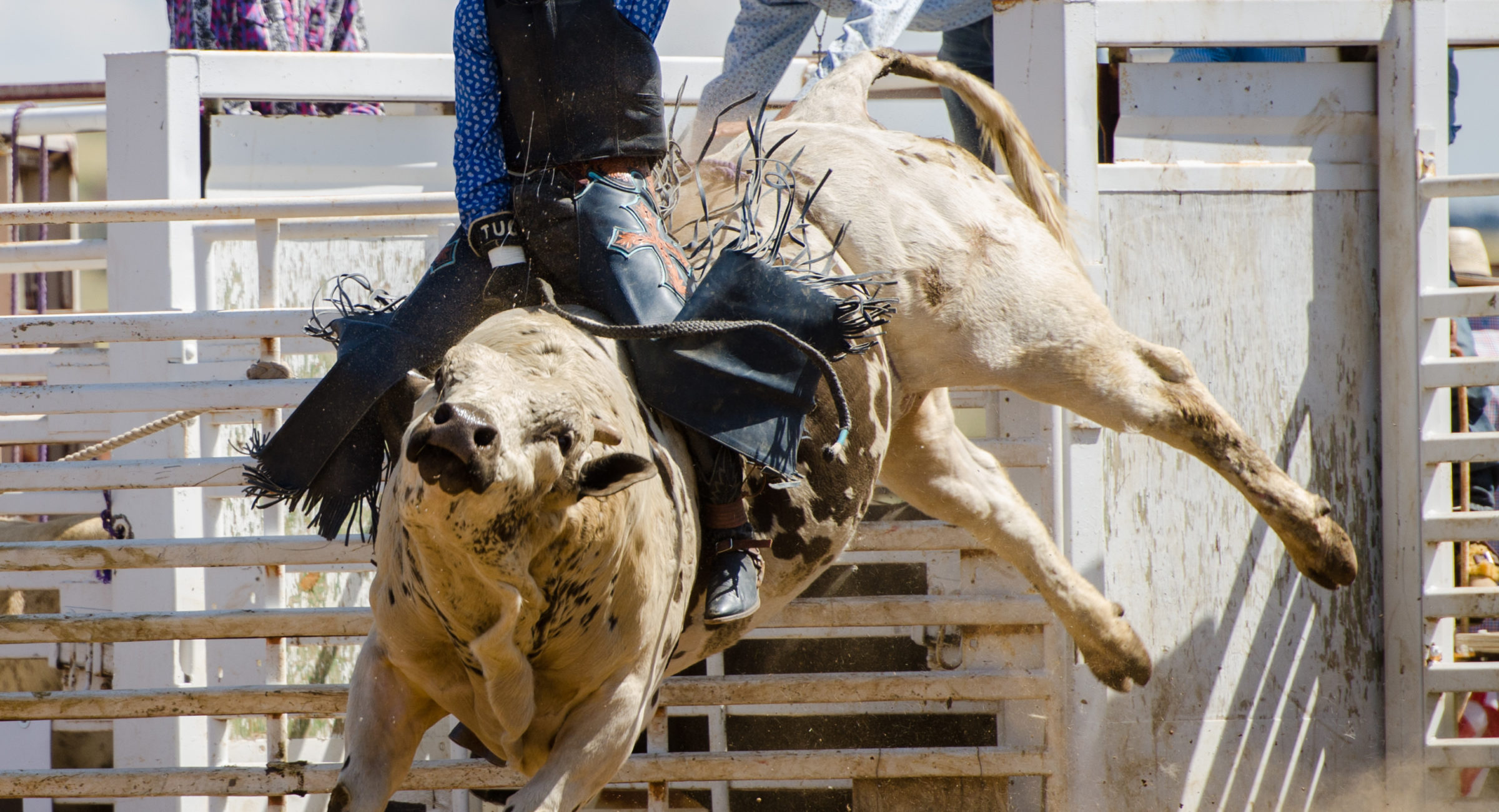 Top of the World Rodeo Bull riding