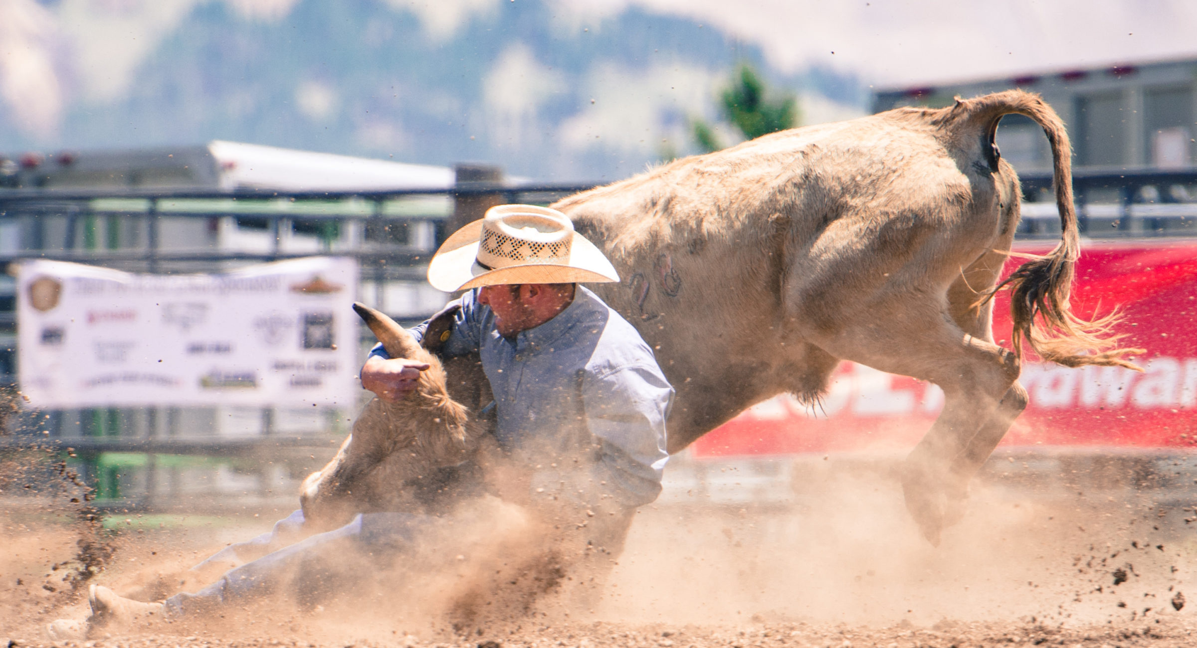 Top of the World Rodeo Steer Wrestling